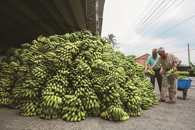 Taiwan's Farmers under Assault